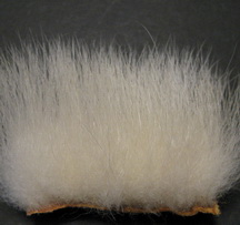 polar bear natural premium